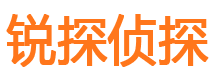 宝兴寻人公司